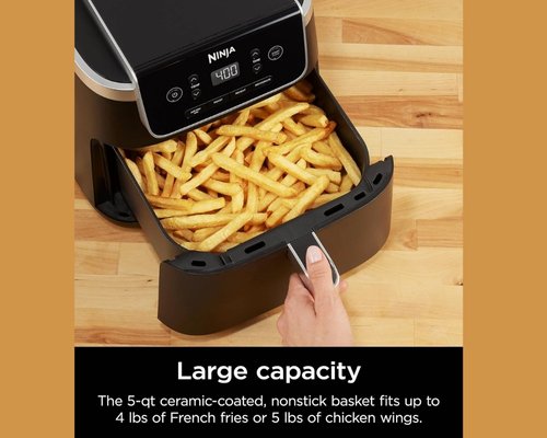 ninja air fryer pro 4-in-1 reviews