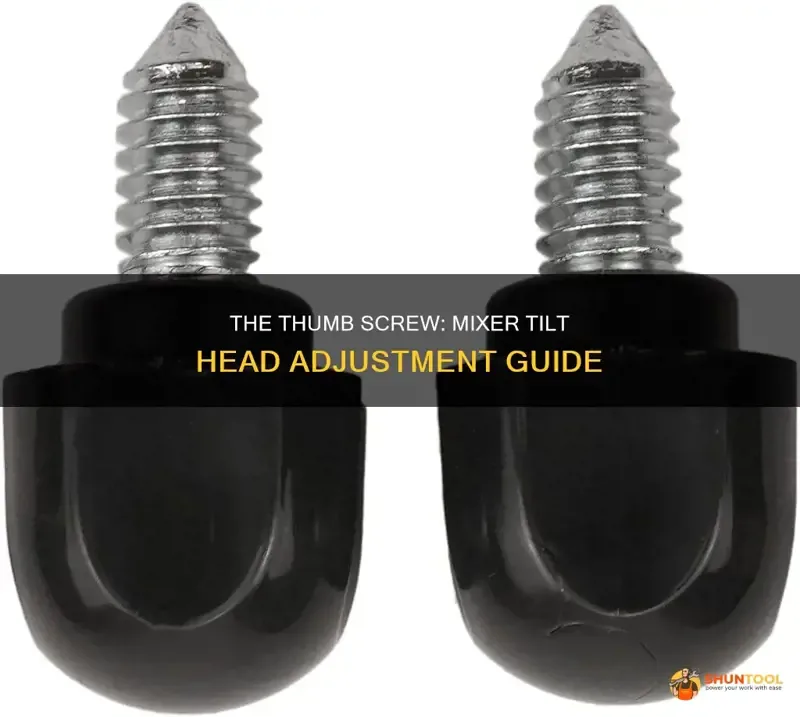 adjustment screw