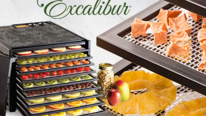 can you put drying onions inside living room without ventilation in a commercial 9 tray food dehydrator safely