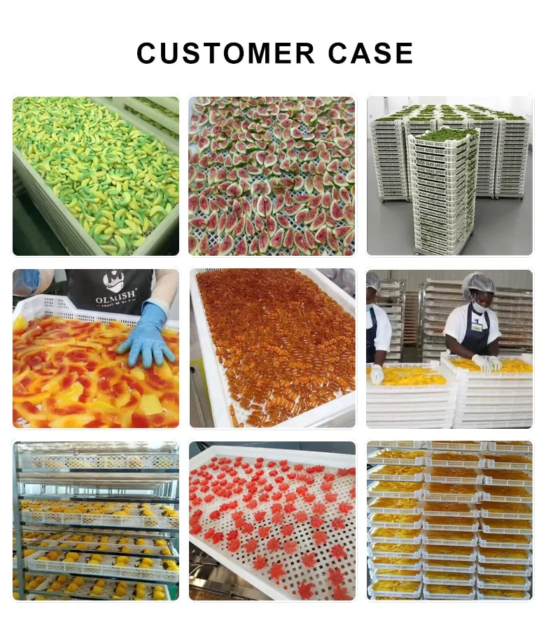 common mistakes warping plastic dehydrator trays