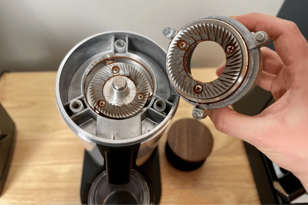 conical burr grinder