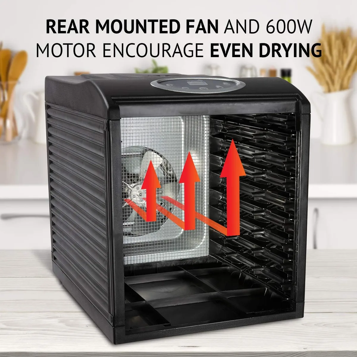 Fan motor