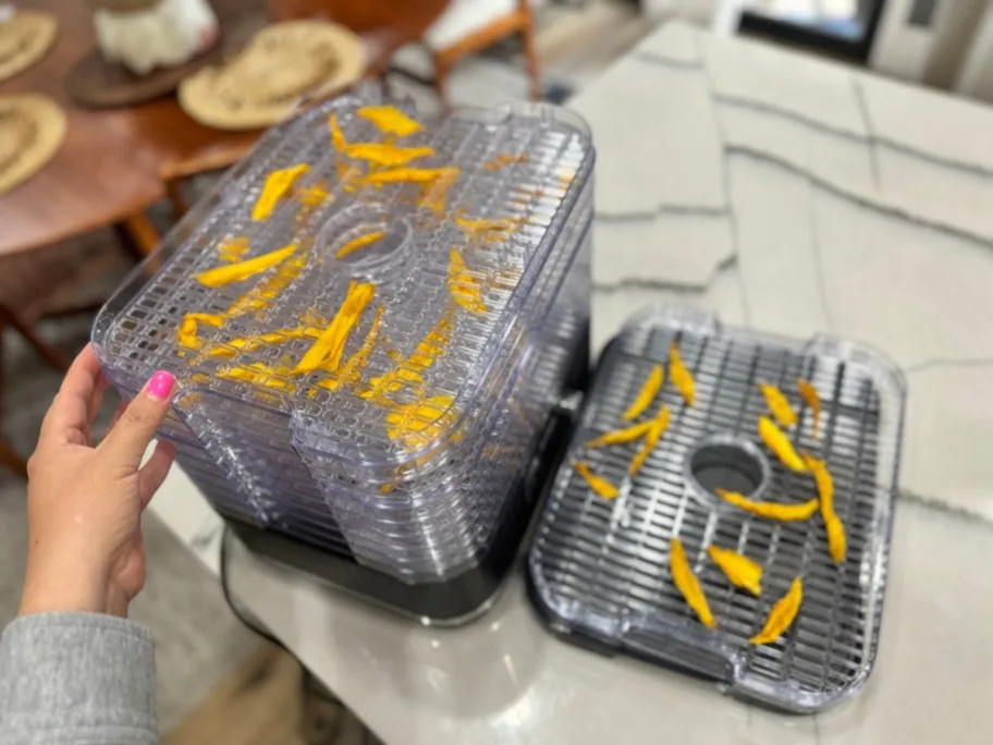 frozen fruit slices dehydrator stainless steel trays