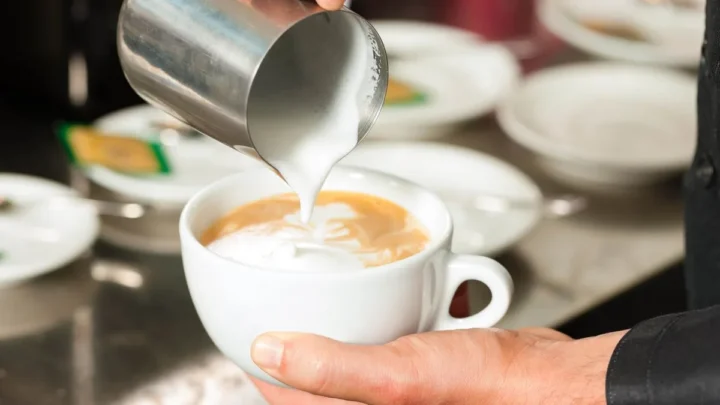 how to clean automatic electric milk frother and remove burnt milk film baked onto bottom nonstick heating base