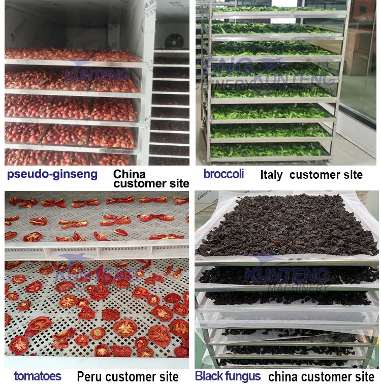 how to clean commercial 9 tray food dehydrator and remove sticky tomato juice drips on bottom dehydrator floor