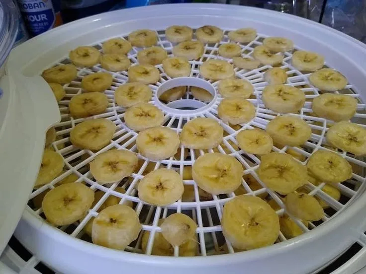 how to clean compact stackable food dehydrator and remove sticky banana sugar residue on plastic tray grates