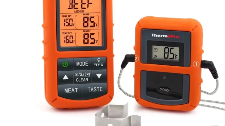 Reddit Users Review ThermoPro TP20: Worth It?