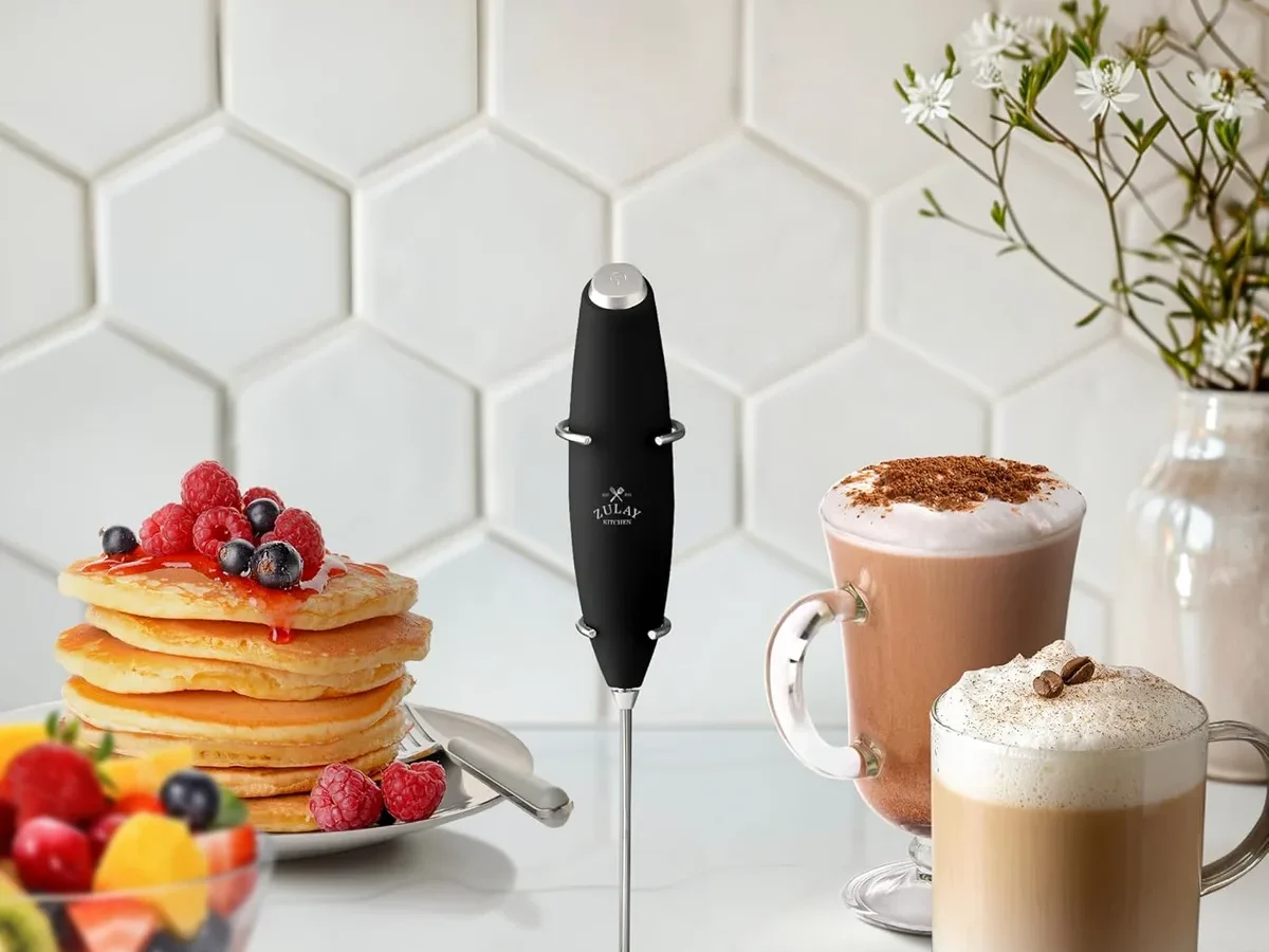 milk frother types