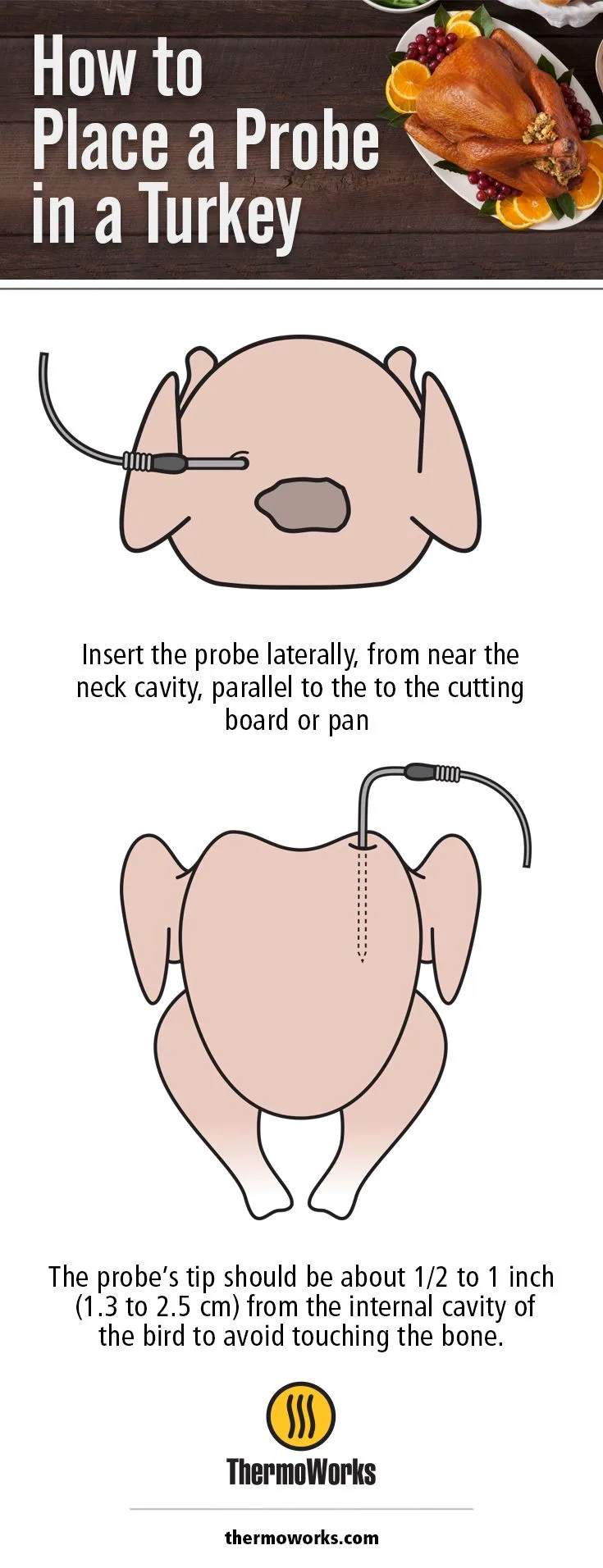 probe placement turkey breast