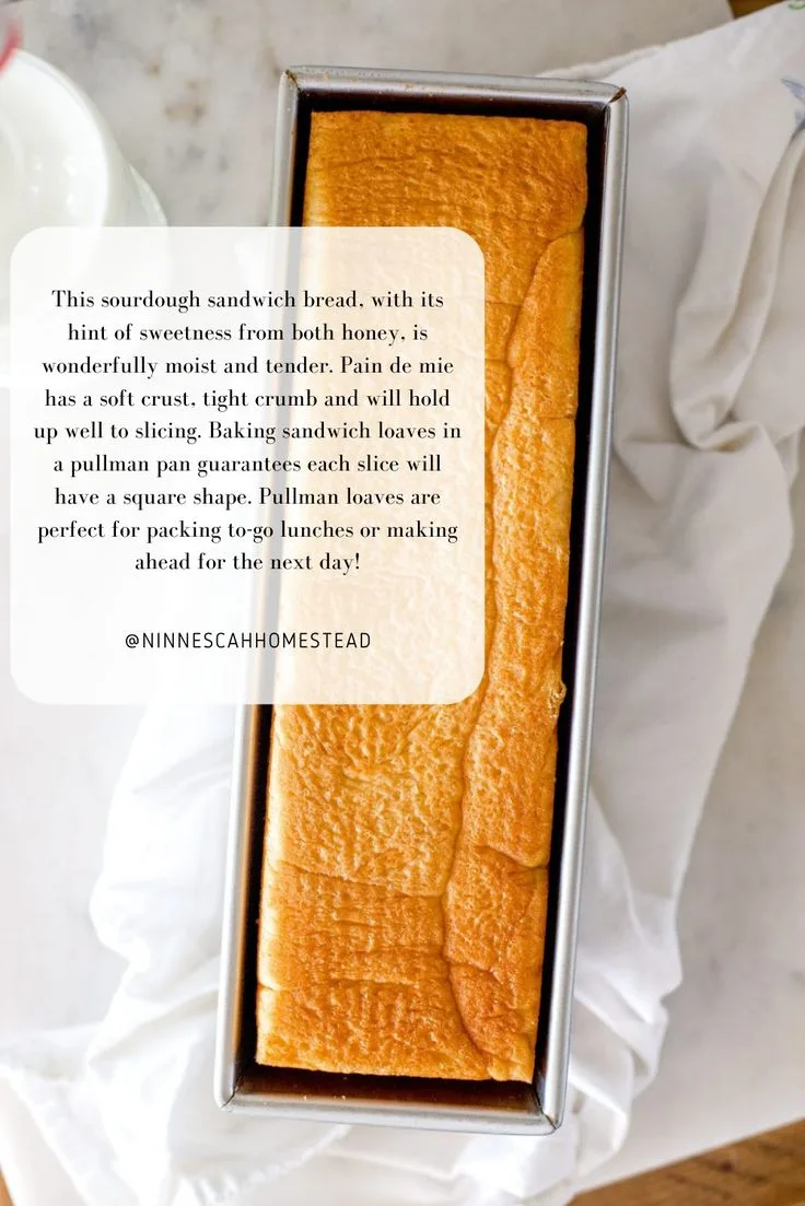 soft honey oat sandwich bread pullman pan lid