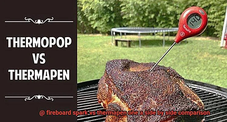 Thermoworks Thermapen ONE