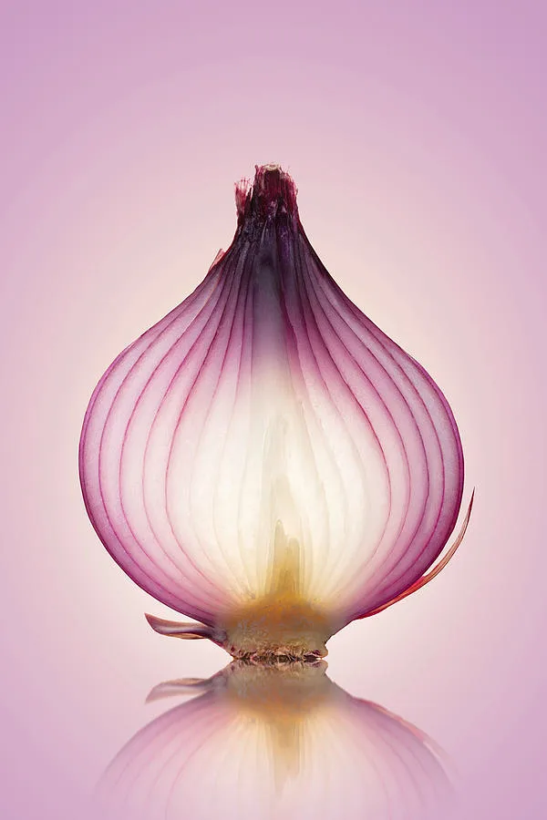 translucent slice visual cue
