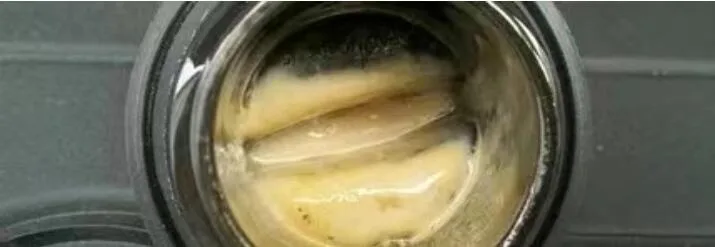 vacuum pump oil emulsification