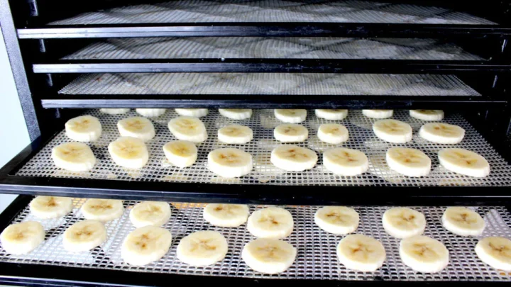 what temperature and cooking time for crispy sweet banana chips in compact stackable food dehydrator