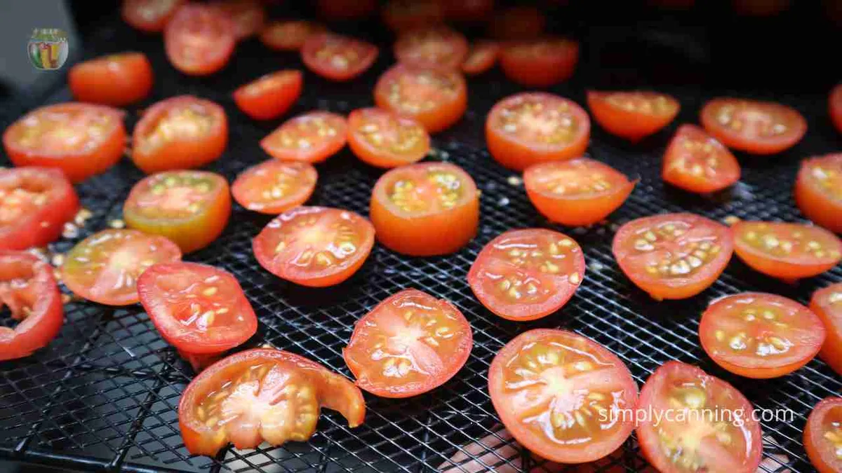 what temperature and cooking time for dried sun-ripened garden tomato slices in commercial 9 tray food dehydrator