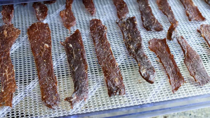 Best Temp & Time for Spicy Teriyaki Beef Jerky